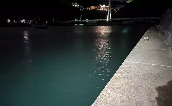 「紀北から中紀をラン＆ガン！【和歌山】ライトソルトゲームでメバルにカサゴにマゴチ手中」の画像