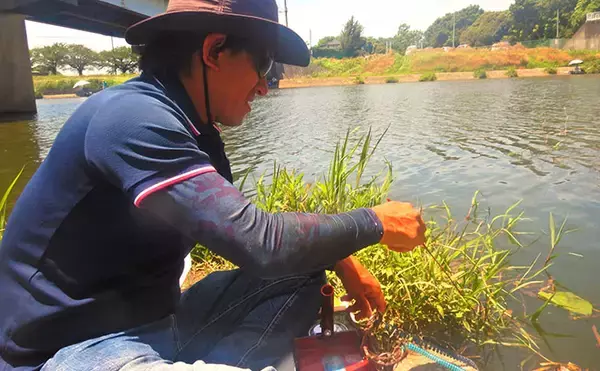 「埼玉・びん沼川で淡水「二刀流」釣りを満喫　タナゴ23尾に50cm級コイも登場」の画像
