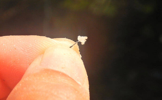 埼玉・びん沼川で淡水「二刀流」釣りを満喫　タナゴ23尾に50cm級コイも登場