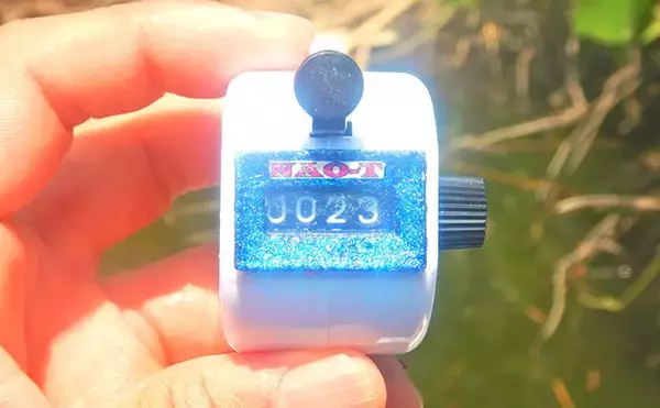「埼玉・びん沼川で淡水「二刀流」釣りを満喫　タナゴ23尾に50cm級コイも登場」の画像