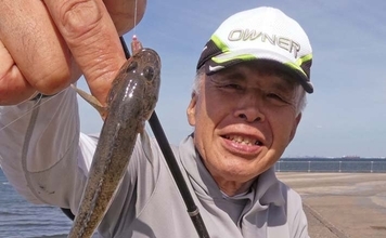 「内房でのんびり釣り日和」富津みなと公園のちょい投げ釣りでハゼ&セイゴ好調【千葉】