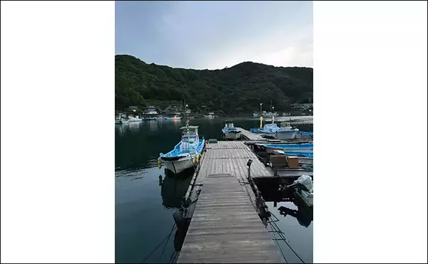 「海上釣り堀を仲間で貸し切って堪能【三重・和光】青物とマダイと対面成功！」の画像