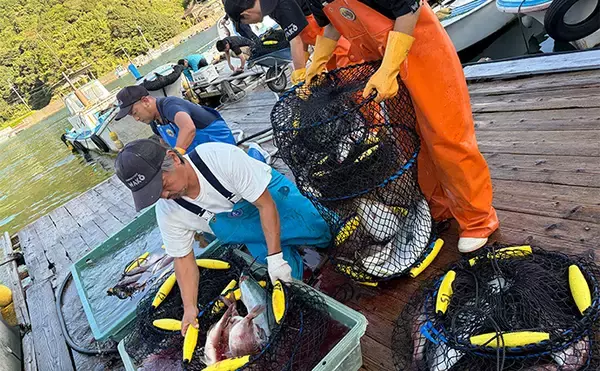 「海上釣り堀を仲間で貸し切って堪能【三重・和光】青物とマダイと対面成功！」の画像