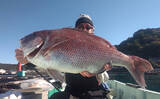 「「串本カセ釣りのポテンシャルが炸裂！」 40〜60cmの良型マダイ16匹と大爆釣」の画像1