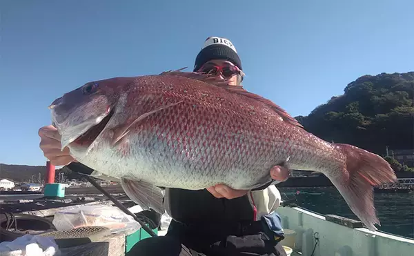 「串本カセ釣りのポテンシャルが炸裂！」 40〜60cmの良型マダイ16匹と大爆釣