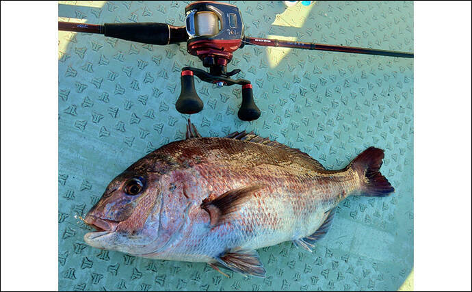 「串本カセ釣りのポテンシャルが炸裂！」 40〜60cmの良型マダイ16匹と大爆釣