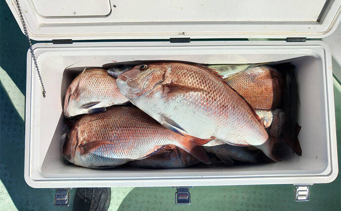 「串本カセ釣りのポテンシャルが炸裂！」 40〜60cmの良型マダイ16匹と大爆釣