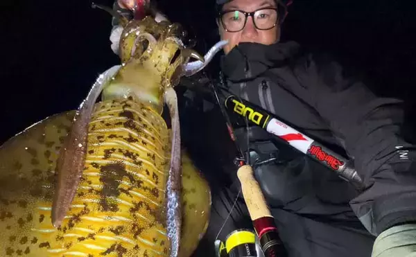 「春は大型アオリイカの季節！」ナイト＆デイエギングそれぞれの基本戦略を徹底解説