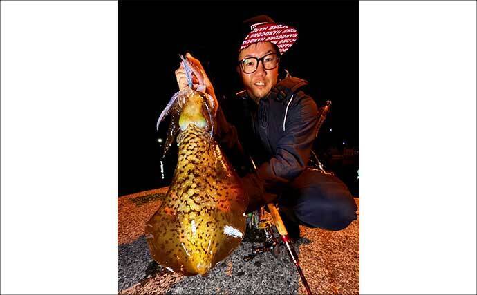 「春は大型アオリイカの季節！」ナイト＆デイエギングそれぞれの基本戦略を徹底解説