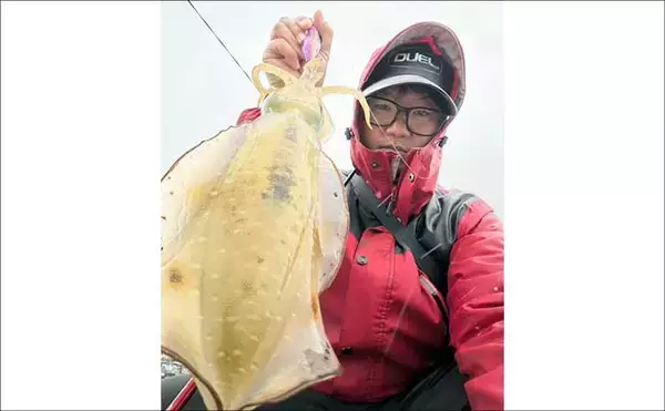 「「春は大型アオリイカの季節！」ナイト＆デイエギングそれぞれの基本戦略を徹底解説」の画像