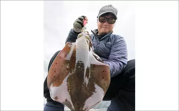 「「春は大型アオリイカの季節！」ナイト＆デイエギングそれぞれの基本戦略を徹底解説」の画像