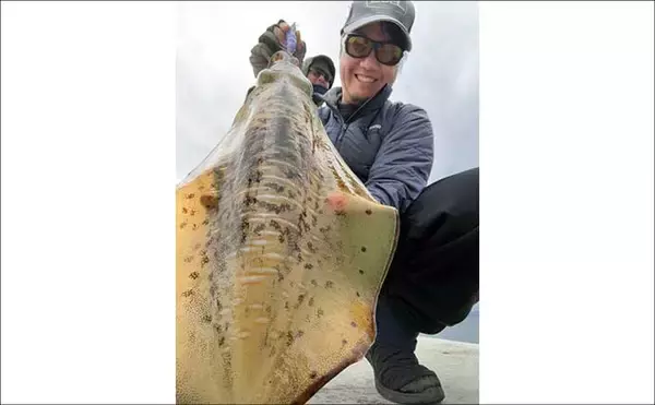 「「春は大型アオリイカの季節！」ナイト＆デイエギングそれぞれの基本戦略を徹底解説」の画像