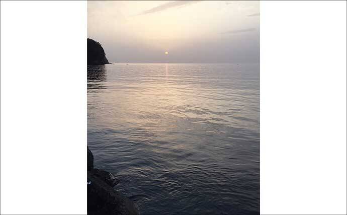 梅雨の大阪湾沿岸ではどんな魚が釣れる？ オススメの釣りターゲットと攻略法を紹介