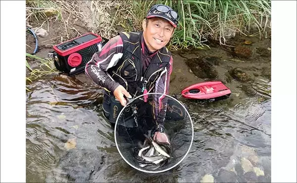 「武儀川での友釣りで若アユが好反応【岐阜】真っ黄色な18cm前後が中心」の画像