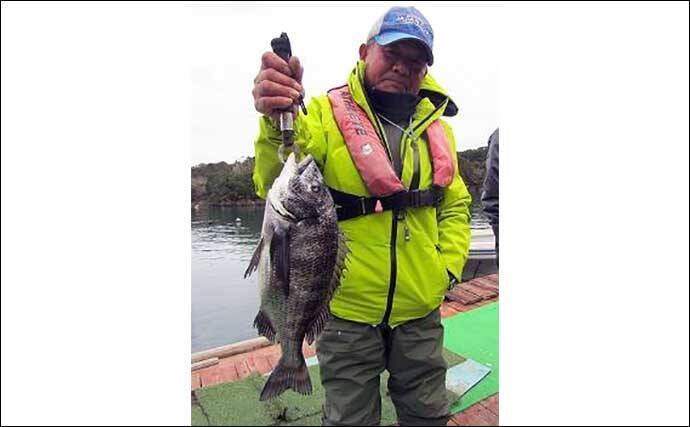 【カカリ釣り最新釣果】イカダでのエギングで良型アオリにコウイカ好捕（三重）