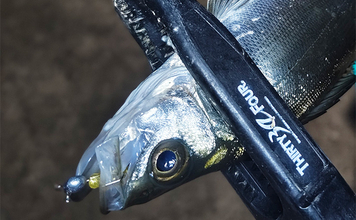 「針のカエシは釣りには不要！」 バーブレスフックの圧倒的なメリットとは？