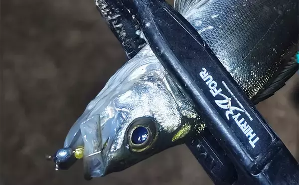 「針のカエシは釣りには不要！」 バーブレスフックの圧倒的なメリットとは？