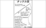 「ナイトシーバスゲームで55cm級を手中【愛知・衣浦周辺河川】ベイトが溜まる明暗攻略がカギ」の画像2