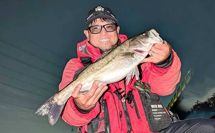 ナイトシーバスゲームで55cm級を手中【愛知・衣浦周辺河川】ベイトが溜まる明暗攻略がカギ