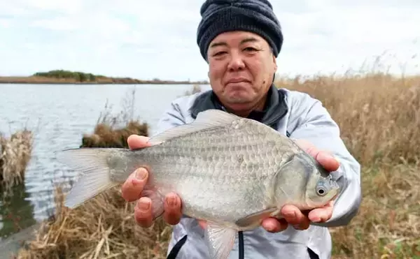 吉田康雄のザ・チャレンジへらぶな【流れ川で美ベラ狙い#3】