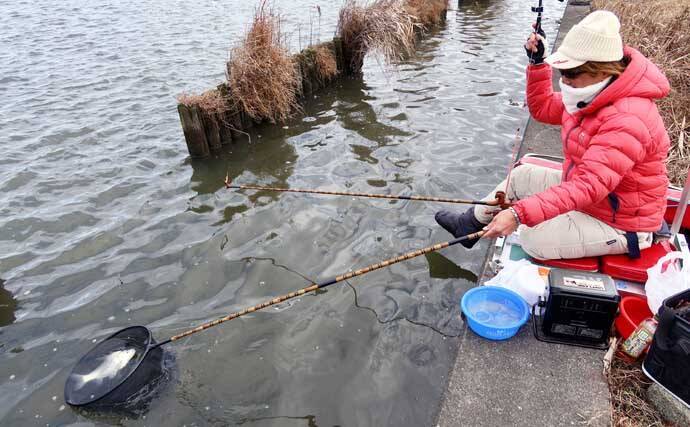 吉田康雄のザ・チャレンジへらぶな【流れ川で美ベラ狙い#3】