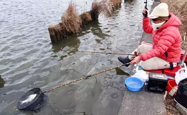 「吉田康雄のザ・チャレンジへらぶな【流れ川で美ベラ狙い#3】」の画像