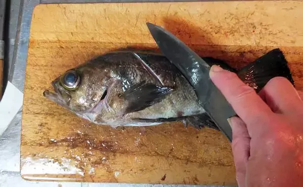 「釣魚で作る「日本の味」レシピ：メバルの焼き絞め　煮付けが余ったらお試しを！」の画像