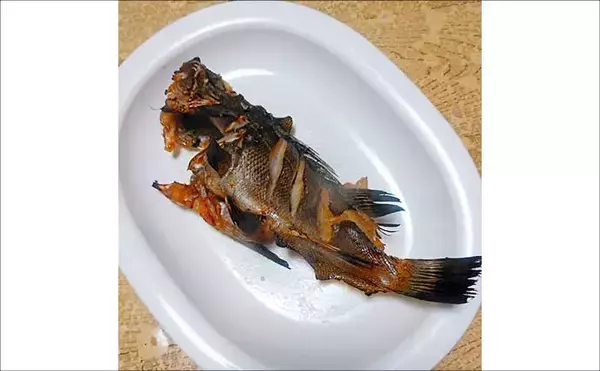 「釣魚で作る「日本の味」レシピ：メバルの焼き絞め　煮付けが余ったらお試しを！」の画像