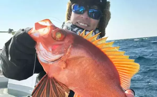 沖五目釣りでチカメキントキやアマダイなど多彩な美味魚が好反応【船釣り最新釣果16選】