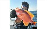 「沖五目釣りでチカメキントキやアマダイなど多彩な美味魚が好反応【船釣り最新釣果16選】」の画像2