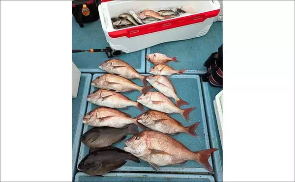 「沖五目釣りでチカメキントキやアマダイなど多彩な美味魚が好反応【船釣り最新釣果16選】」の画像