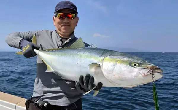 「寒ブリ並みに脂ノリノリ！」若狭湾ジギングでブリが連発【あみや渡船・JIG‐BOY】
