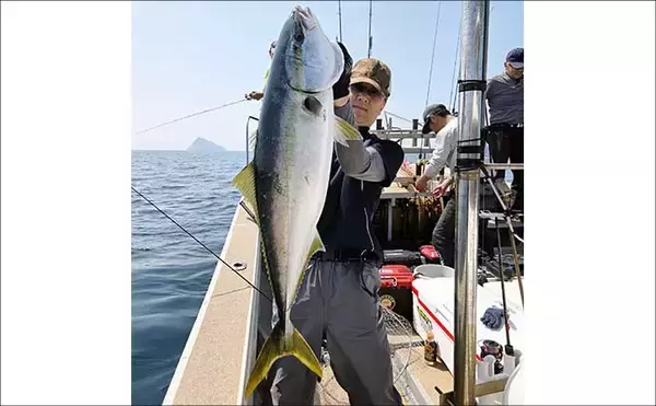 「「寒ブリ並みに脂ノリノリ！」若狭湾ジギングでブリが連発【あみや渡船・JIG‐BOY】」の画像