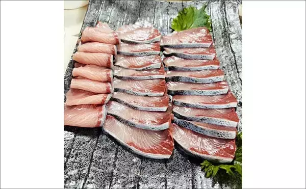 「「寒ブリ並みに脂ノリノリ！」若狭湾ジギングでブリが連発【あみや渡船・JIG‐BOY】」の画像