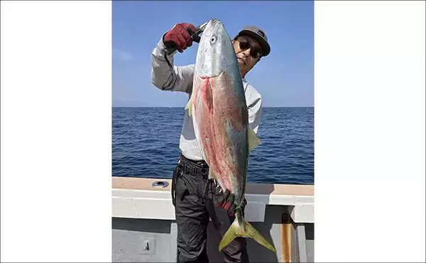 「「寒ブリ並みに脂ノリノリ！」若狭湾ジギングでブリが連発【あみや渡船・JIG‐BOY】」の画像