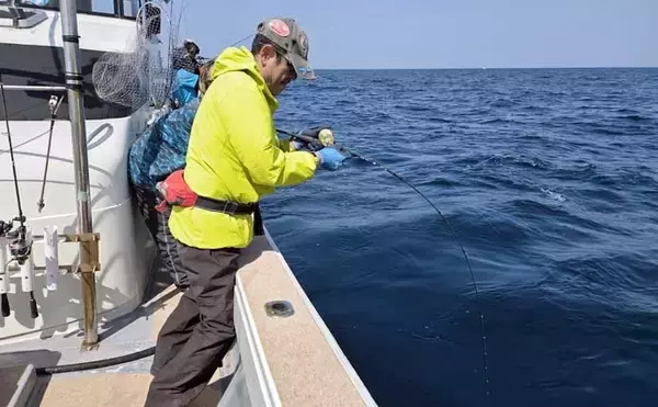 「「寒ブリ並みに脂ノリノリ！」若狭湾ジギングでブリが連発【あみや渡船・JIG‐BOY】」の画像