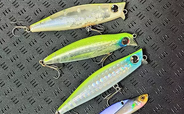 「なぜシーバスはルアーで釣れるのか？　【形・動き・レンジ】が最重要ポイント」の画像