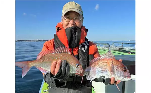 「関東エリアの【船釣り特選釣果】ハナダイ五目で20〜50尾キャッチ続出！3人が規定数達成の好釣果」の画像