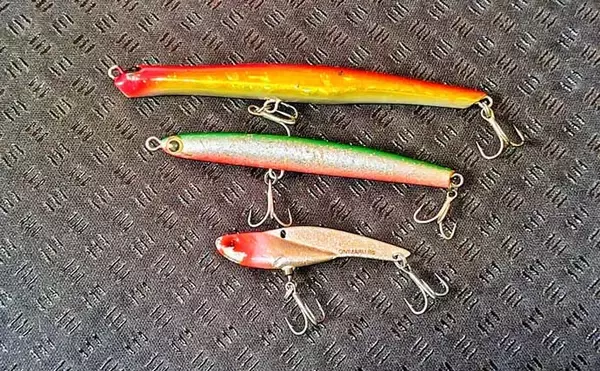 「「真冬の低水温期こそボトムを狙うべし！」 リバーシーバスゲームで50cm級をキャッチ」の画像