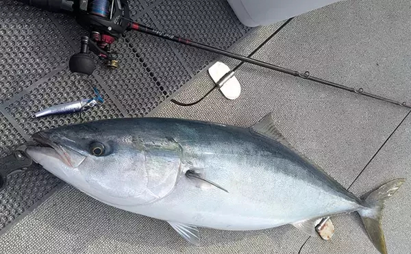 「日本海オフショアジギング釣行で80cm超ブリ手中も大苦戦？ キャスティングでのナブラ撃ちに軍配」の画像