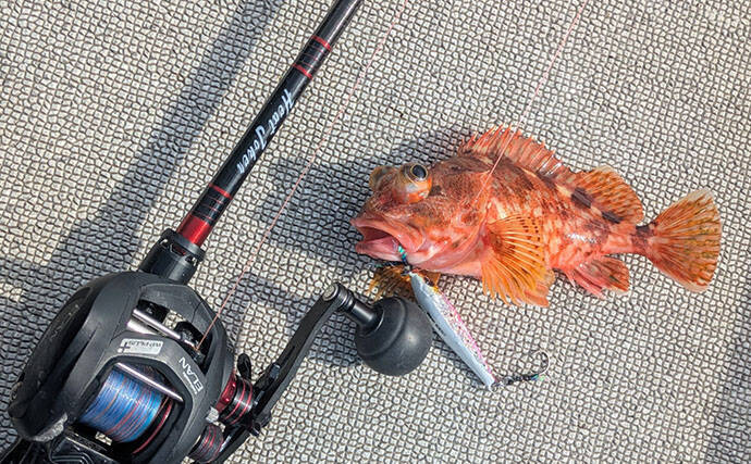 日本海オフショアジギング釣行で80cm超ブリ手中も大苦戦？ キャスティングでのナブラ撃ちに軍配