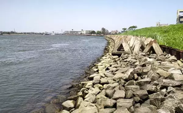 「旧江戸川のテナガエビ釣りで11尾を手中【千葉・浦安】良型も交じりシーズン本格化」の画像