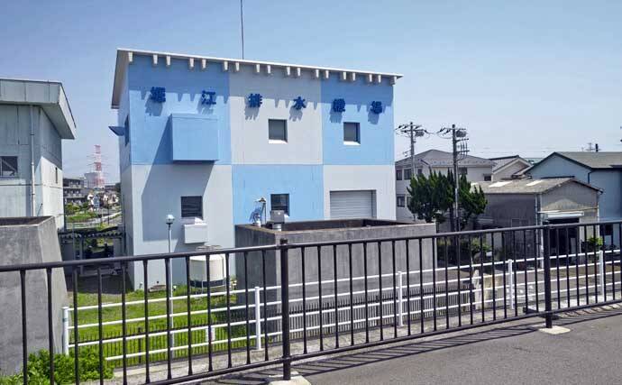 旧江戸川のテナガエビ釣りで11尾を手中【千葉・浦安】良型も交じりシーズン本格化