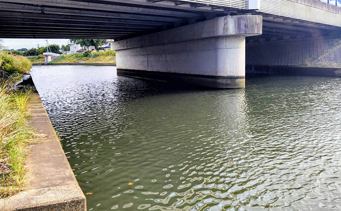 「食わないボイルが多発！」 バイブレーション早巻きで50cm超えクロダイ浮上