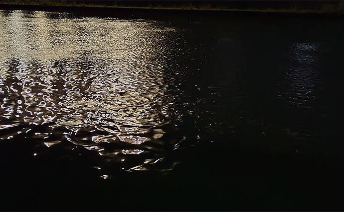 「食わないボイルが多発！」 バイブレーション早巻きで50cm超えクロダイ浮上