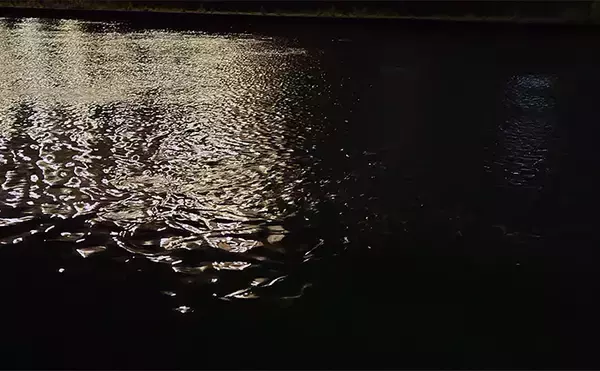 「「食わないボイルが多発！」 バイブレーション早巻きで50cm超えクロダイ浮上」の画像