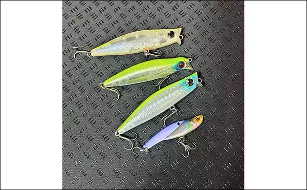 「「食わないボイルが多発！」 バイブレーション早巻きで50cm超えクロダイ浮上」の画像