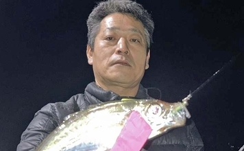 神前浦のアジングで24cm頭に中アジ好ヒット【三重】豆サイズから一気にサイズアップ