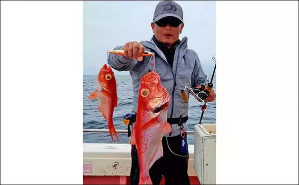 「ジギングでキンメダイがフィーバー！2点掛けも連発と絶好調【静岡・光輝丸】」の画像