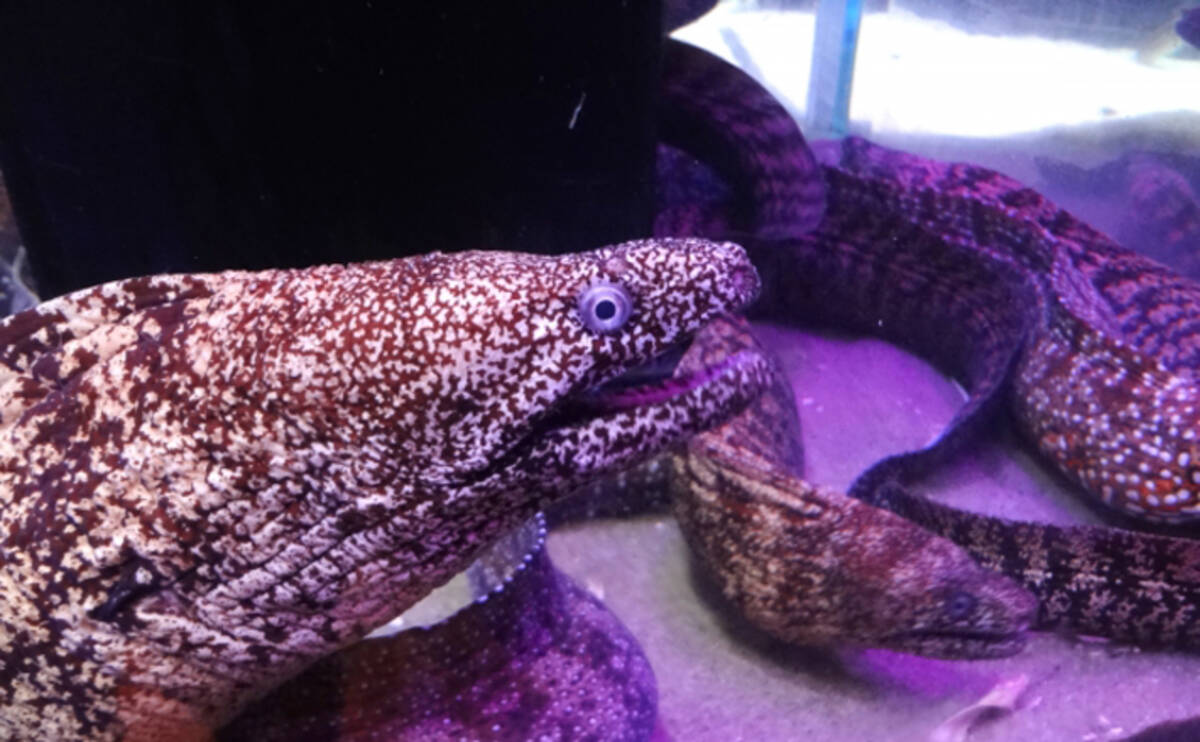 Qyy4w Uj81rgbm Qyy4w Uj81rgbm